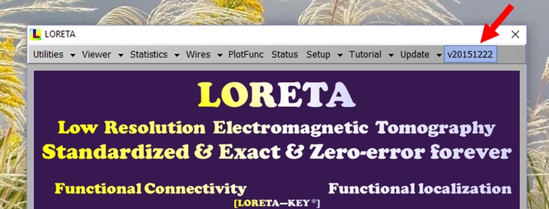 loreta main prog version
